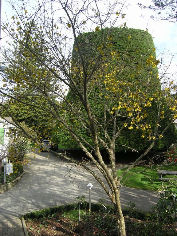 Bucket Tree Lodge Tawa Bagian luar foto
