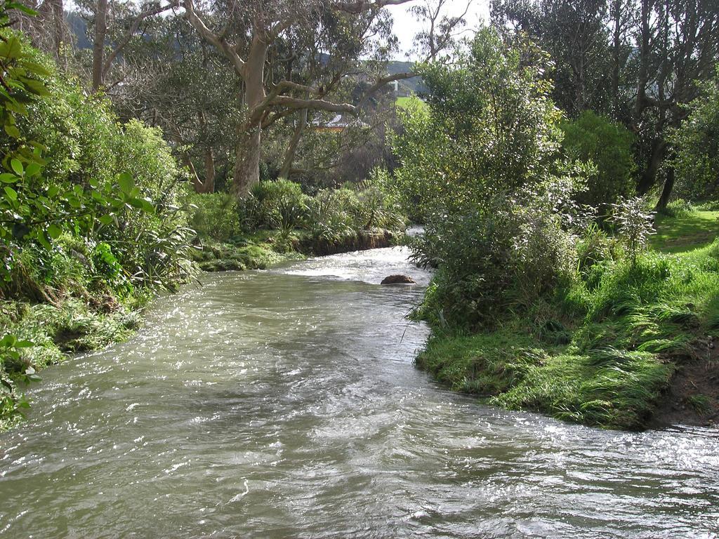 Bucket Tree Lodge Tawa Bagian luar foto